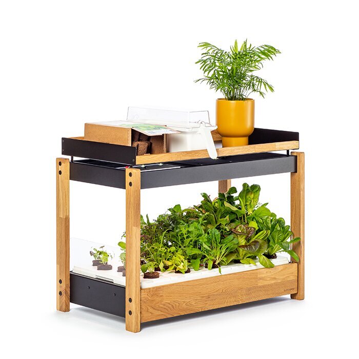 Smart Garten | LivingBloom Intelligenter Garten